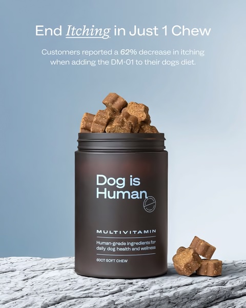 A clean, studio-lit image of a dog multivitamin jar with a statistical claim about reducing itching in dogs.